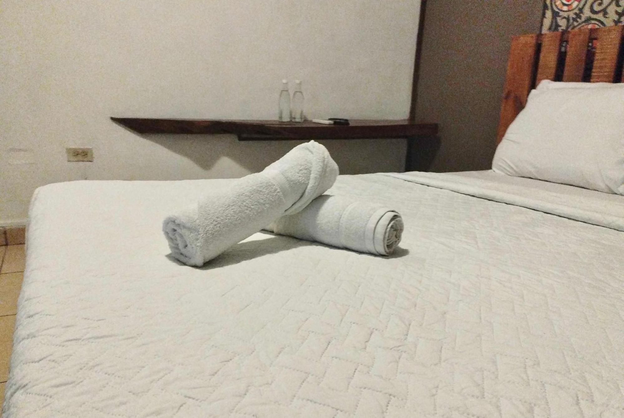 La Zona Hostel 산살바도르 객실 사진