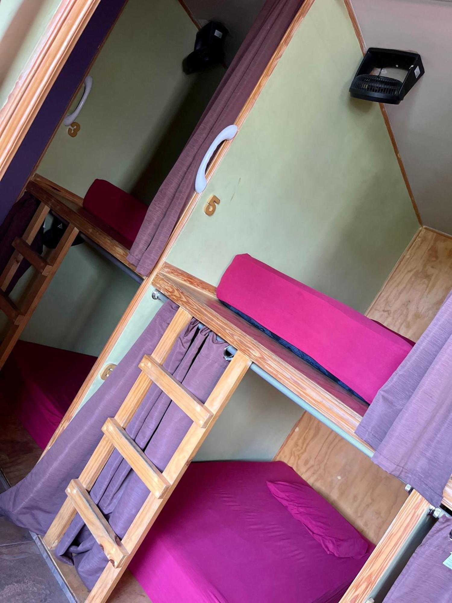 La Zona Hostel 산살바도르 객실 사진